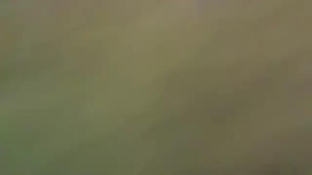 JeffJocc — play with my 9